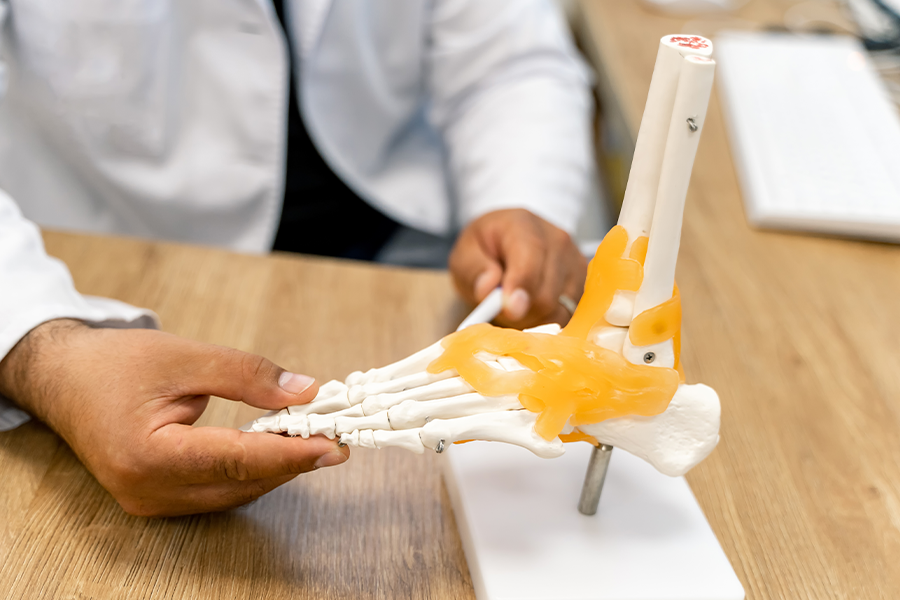 A physician uses a skeletal model of the foot to answer a patient's question, "What Is Plantar Fasciitis?"